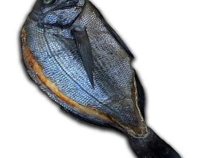 Peixe seco- Curvina preta
