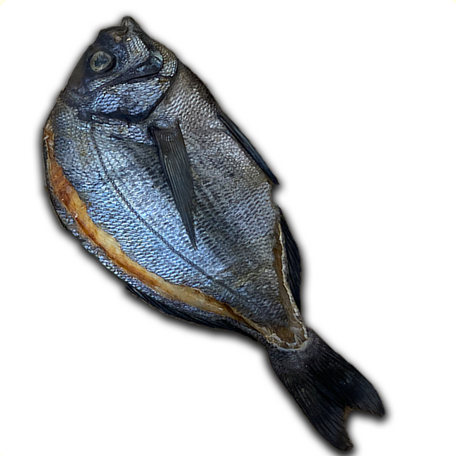 Peixe seco- Curvina preta
