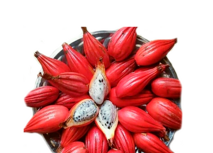 Ginguenga