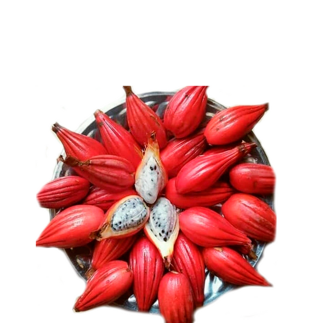 Ginguenga